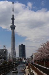 スカイツリー①