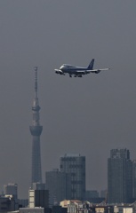 ジャンボとスカイツリー