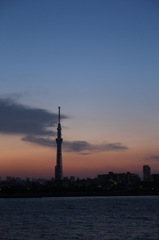 宵のスカイツリー