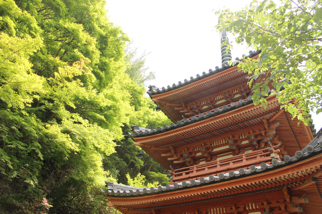 見上げれば三重塔