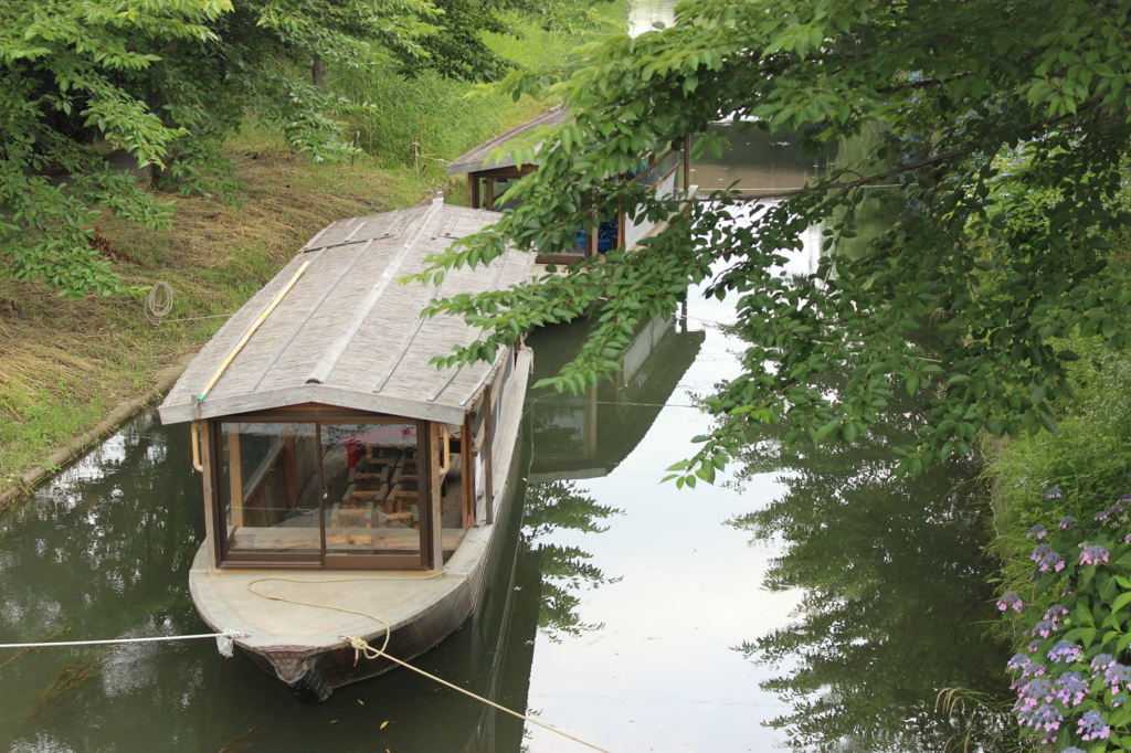 宇治川の屋形船