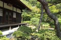 夏の銀閣寺