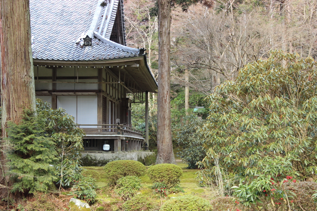 三千院の横顔