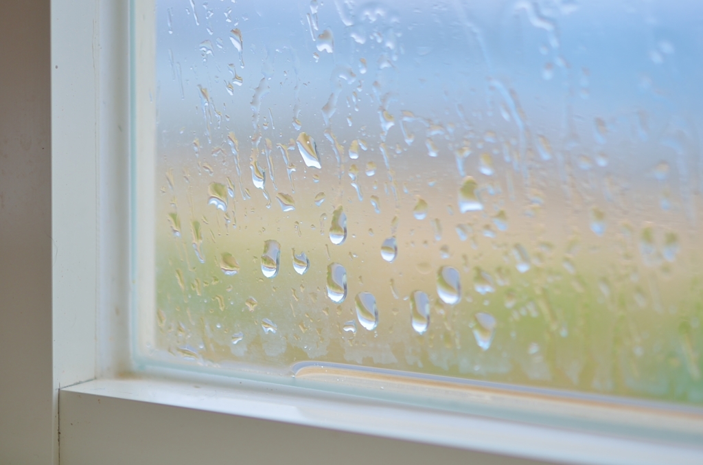雨がくれた休憩