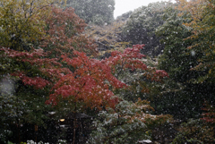 雪の六義園