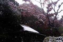 雪の六義園