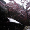 雪の六義園