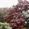 雪の六義園