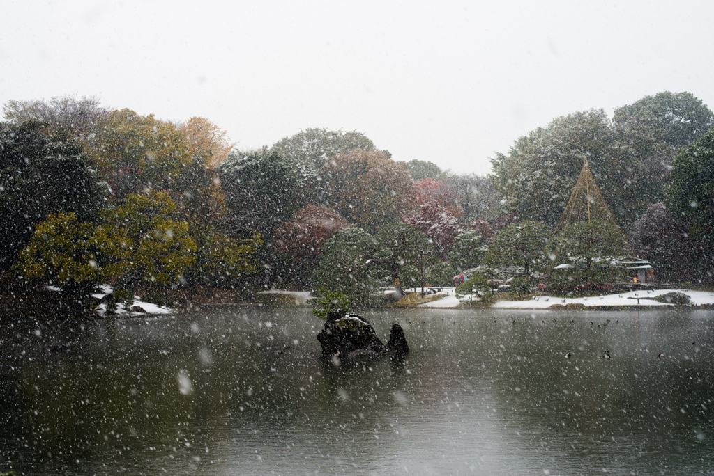 雪の六義園