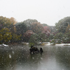 雪の六義園