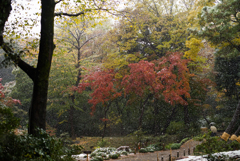 雪の六義園