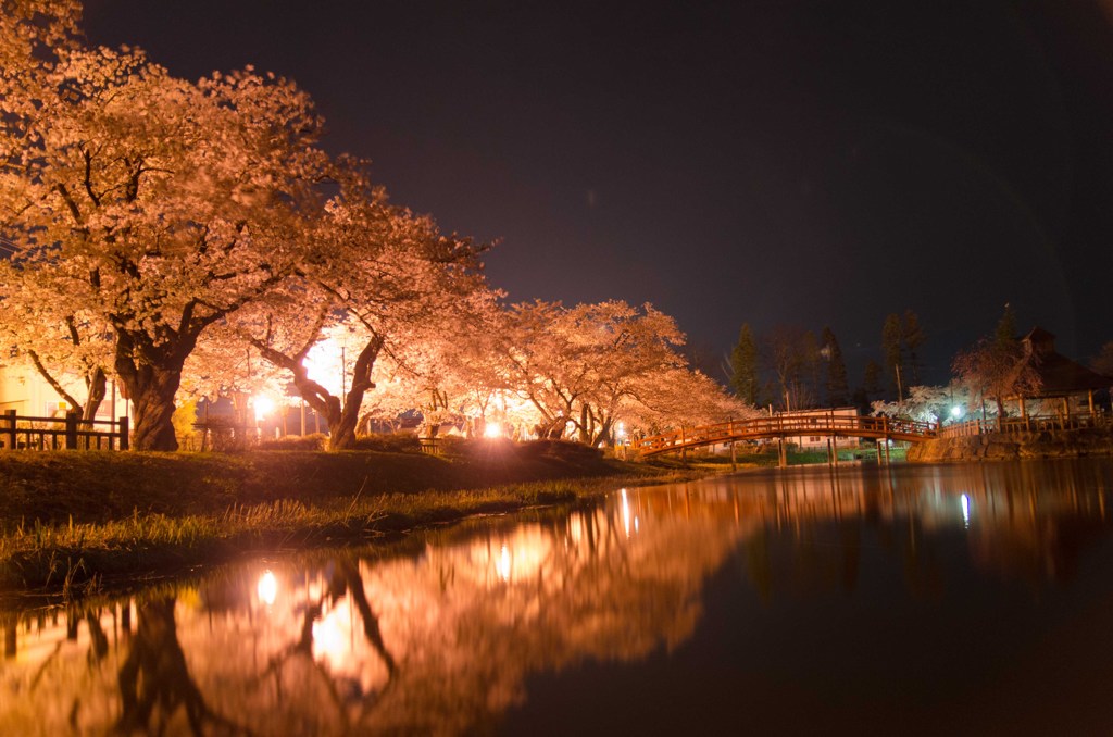 近くの公園にて２