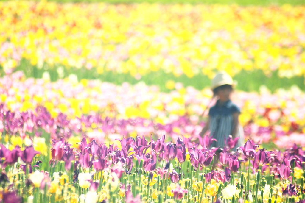 花守の丘へ