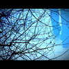 Sleepwalk