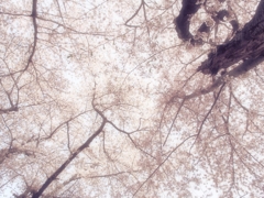 包まれて…。