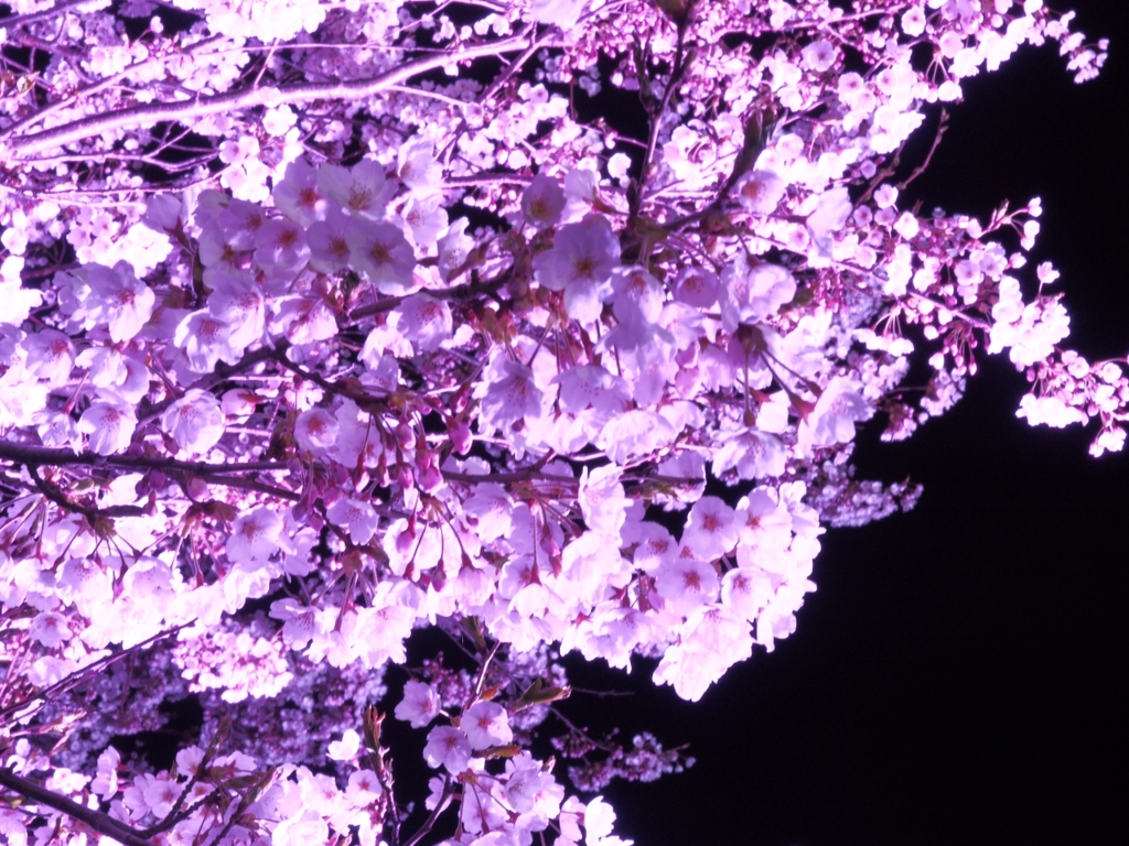 2014-04-20-21-53-50_deco