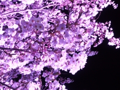 2014-04-20-21-53-50_deco