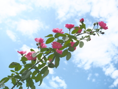 P8300010