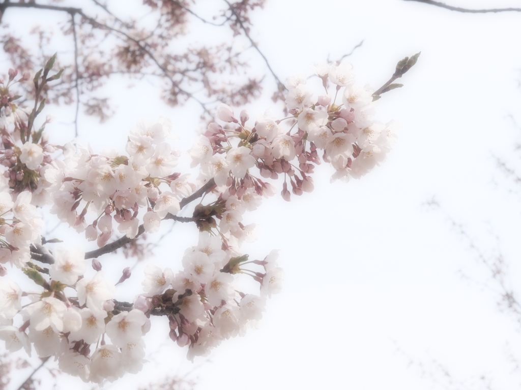2014-04-20-13-35-19_deco