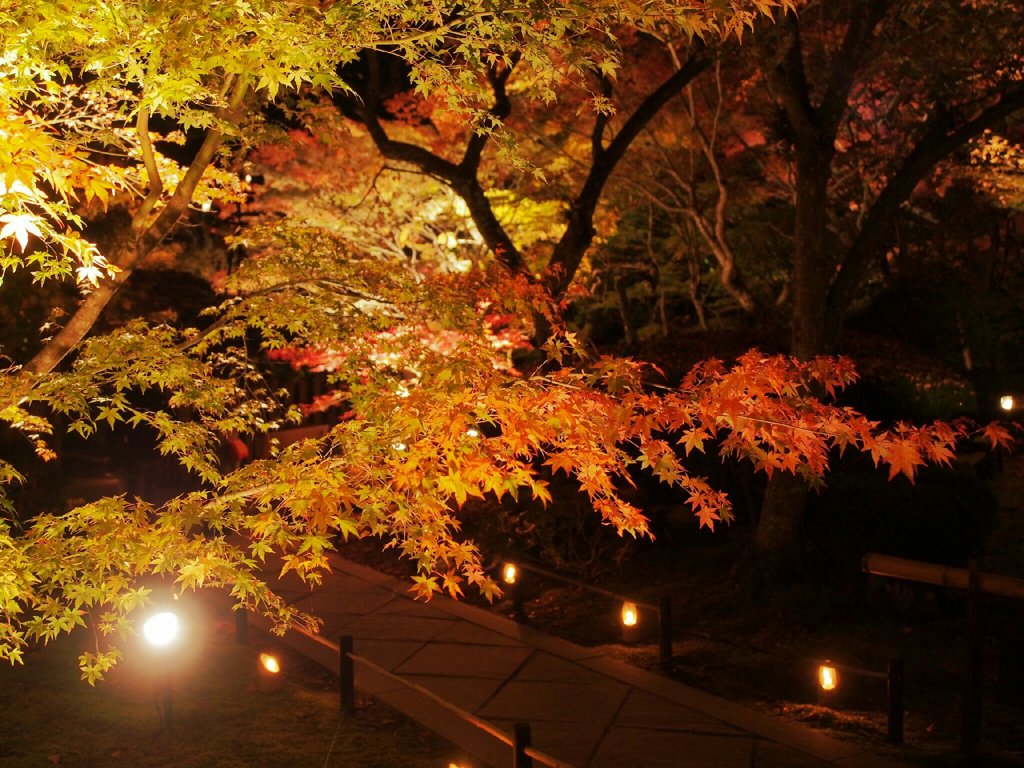 円通院紅葉ライトアップ…②