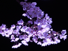 2014-04-20-22-01-08