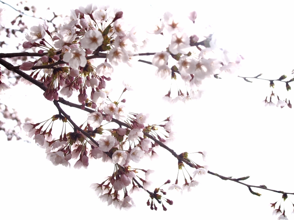 2014-04-20-13-48-12_deco