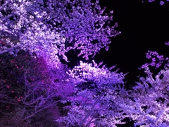 2014-04-20-21-56-55