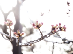 2014-04-08-16-16-36_deco