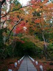 円通院