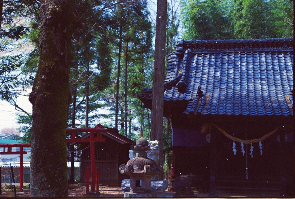 小さな社殿