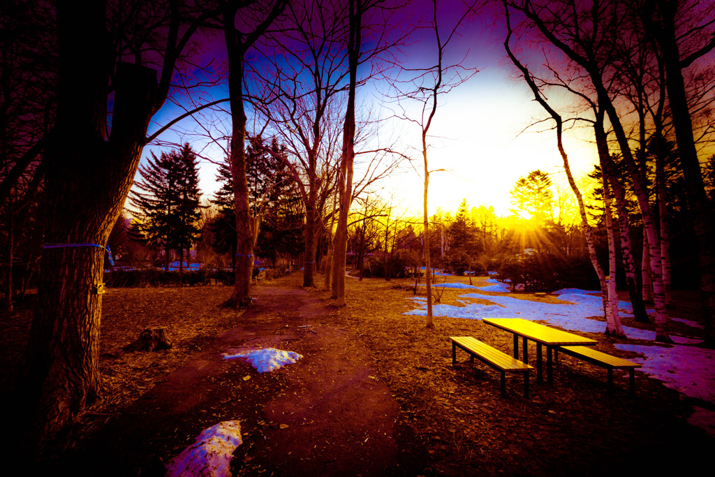 Morning of the park snow is nestled