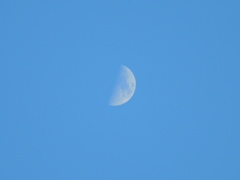 青白い月
