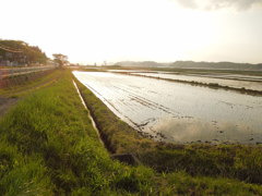 田舎の日暮れ