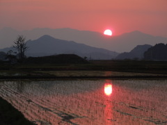 燃え尽きる前のように紅い