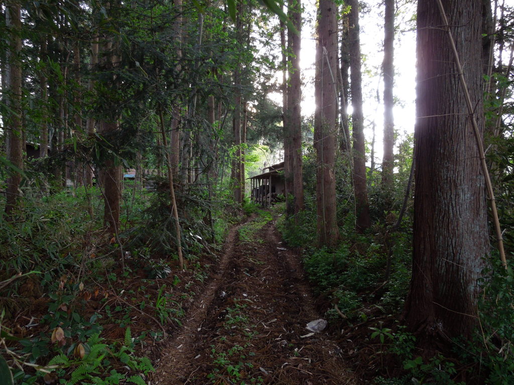 山道
