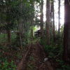 山道