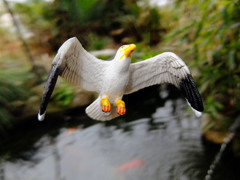 カモメが翔んだ