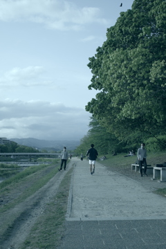 鴨川の夏