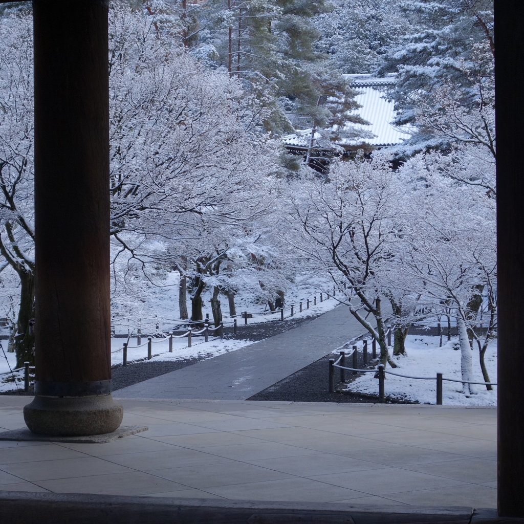雪の参道