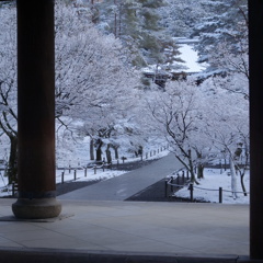 雪の参道