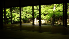 ●蓮華寺２