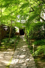 ●蓮華寺１