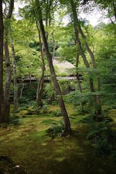 祇王寺