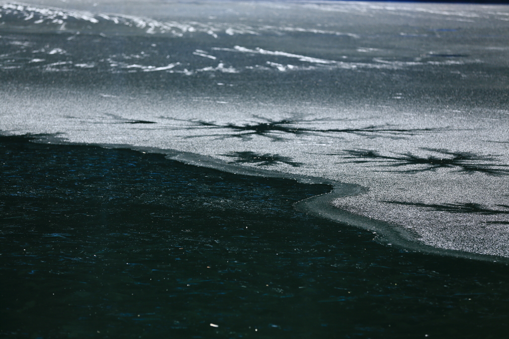 旅先の池　三題　エピローグ　　蓼の海