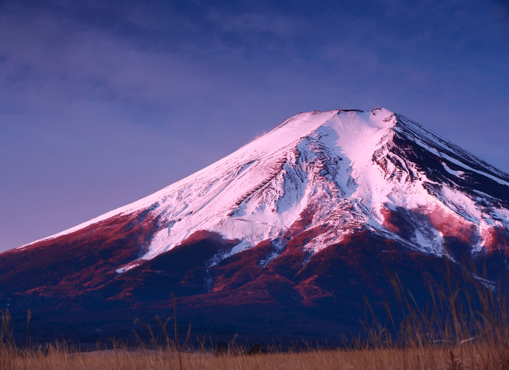 五分遅かった・・