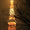 霧の中
