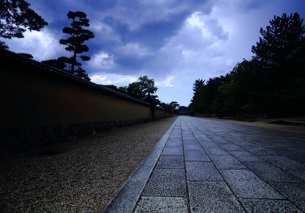 雨の法隆寺　三題　エピローグ　　人の居ない間に・・