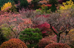 凝縮・・・