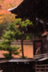 懐かしの昭和歌謡　　　　　　　雨