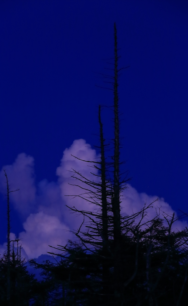 旅の余韻何題？　　宵闇の夏雲・・
